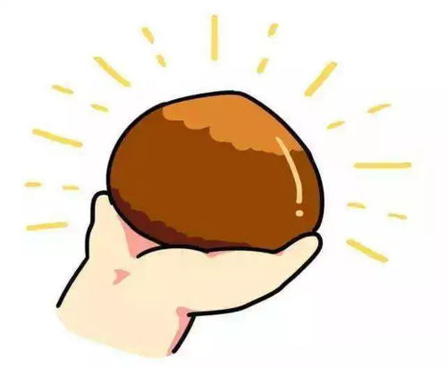 打造世纪精品传世之作浙江电视台全方位揭秘2022年亚运场馆建设