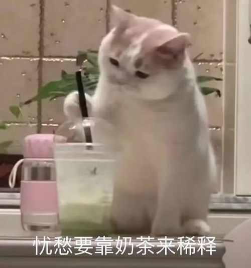  看完节目以后的一些心理吐槽