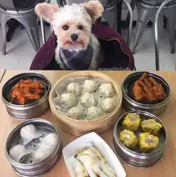 表情像不像减肥时看到美食的你......又馋又饿又委屈 表情像不像减肥时看到美食的你......又馋又饿又委屈