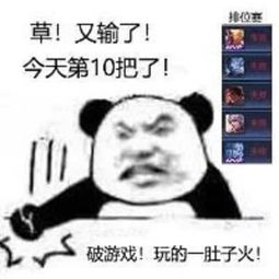  分享一组你绝对没见过的爆笑表情包,看完我发出了魔性的笑声