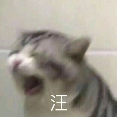 表情包大作战合成版本表