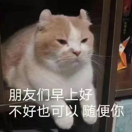 表情包图片喵