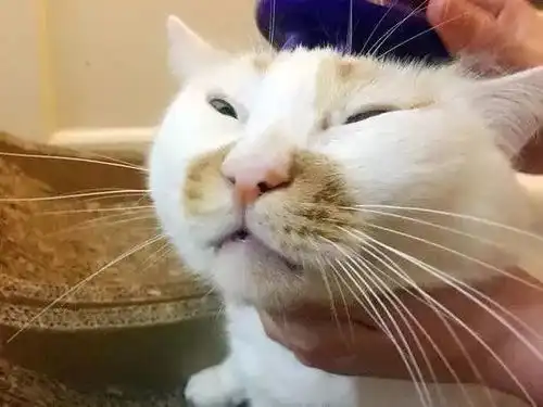 来男友家过年,他奶奶亲自给我换鞋,大清早掀被子叫起床友女表示,不敢嫁不敢嫁v 来男友家过年,他奶奶亲自给我换鞋,大清早掀被子叫起床友女表示,不敢嫁不敢嫁v