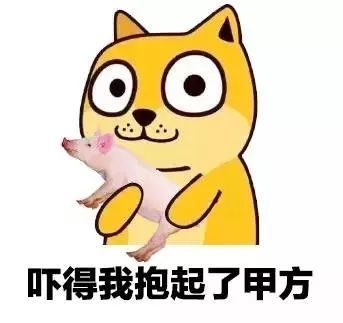  设计师专属表情包合集