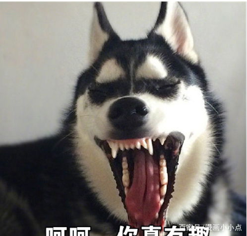  开心一刻不是我不叠被子,主要是我恋旧