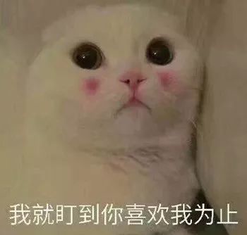  中国空巢青年超5800万乐山青年,你中枪了吗
