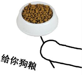  七夕特辑对不起,我们等不急七夕了,提前虐倒一批单身狗文末有约会打卡福利