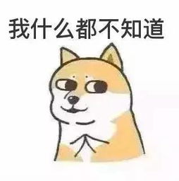  玩家自创勾魂铃第二部第十一回冒险救治