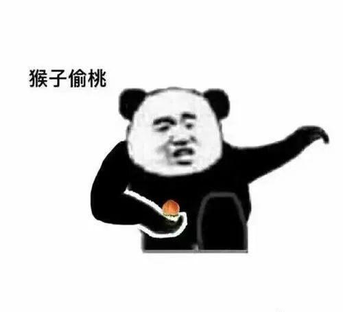  熊猫头金馆长功夫斗图表情包大全