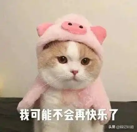  三漂亮哥系列之含着欺负漂亮哥的内幕