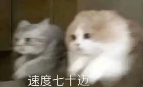 纳新严肃却并不严肃的新闻部招揽贤才ing 纳新严肃却并不严肃的新闻部招揽贤才ing