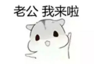  hamham小仓鼠表情包