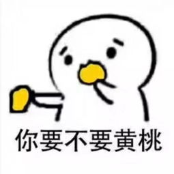  良辰美景与你共赏