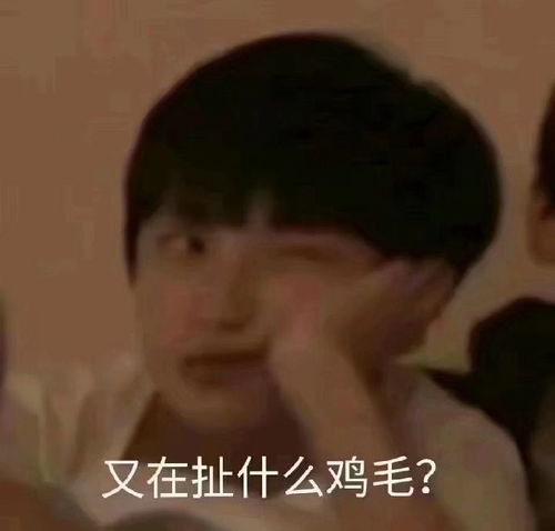  一本正经胡说的沙雕句子,幽默搞笑,活跃气氛
