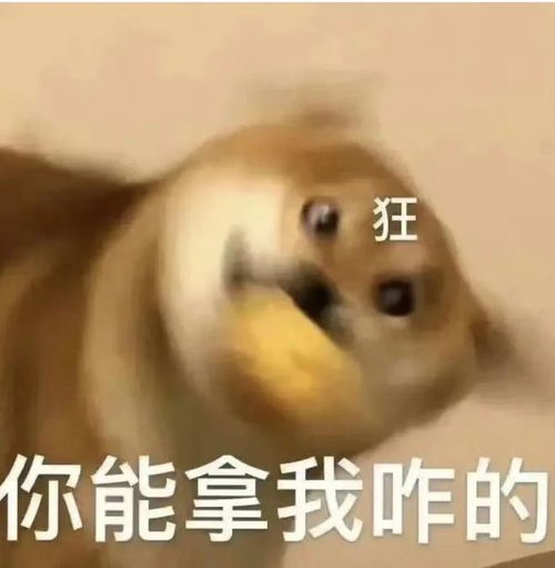  广州人下月起这样做,罚钱