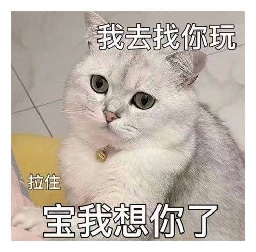 大家好表情包搞笑过目