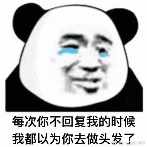  你不理我的时候各种表情包类似图下这种