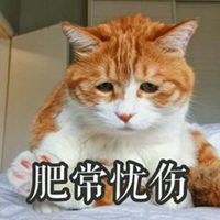  忧伤猫表情包微信头像图片大全