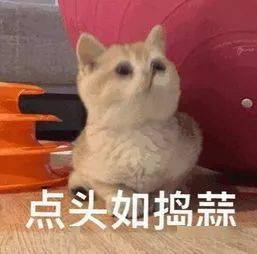  全国怕老婆排名新鲜出炉北京男人的排名居然是