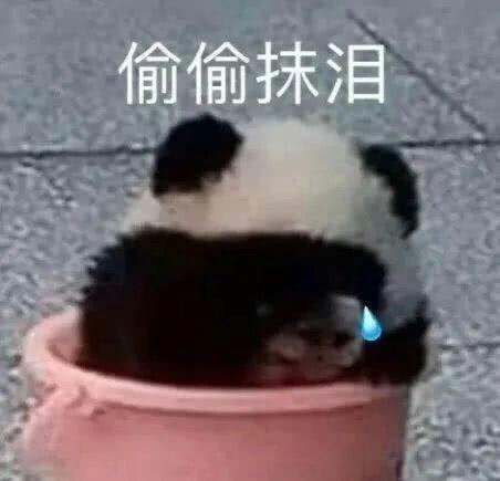  初三学生怎么才能早睡着