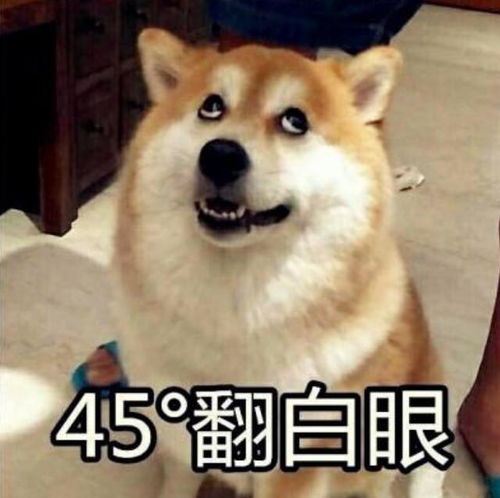  艾小羊女人不成仙,要成女流氓