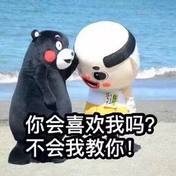  倾心视频直播全集倾心资料大全yy官方