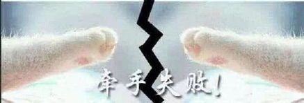  微信牵手安慰表情包