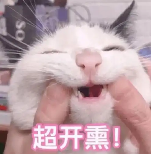 新年骚不骚,运气爆不爆,看袜子就知道 新年骚不骚,运气爆不爆,看袜子就知道