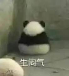  hfp的防晒霜到底怎么样