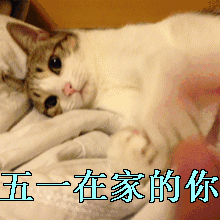 五一表情包gif摇头