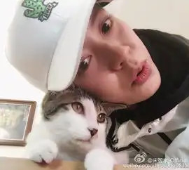  韩星宋智孝晒与猫咪合影网友萌萌哒