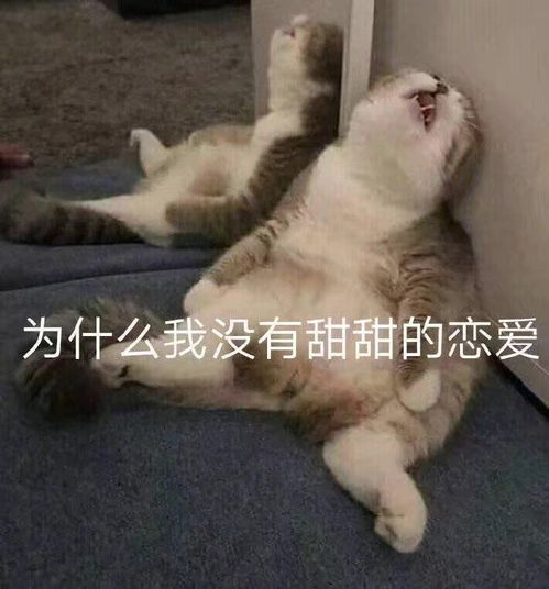 萌宠表情包想要甜甜的恋爱