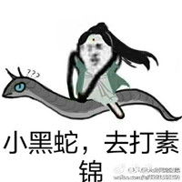  素素跳诛仙台表情包白浅手撕素锦搞笑qq表情