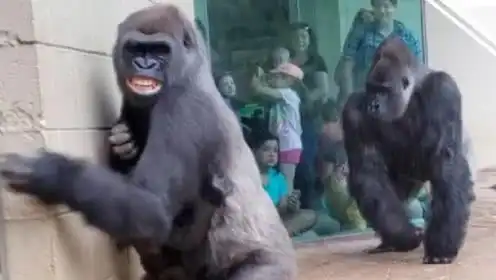 静说科学的个人频道 静说科学的个人频道