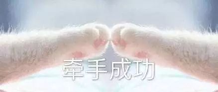  李小雷,说说你抢火车票的经历