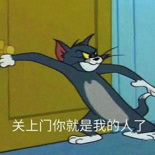  猫和老鼠系列