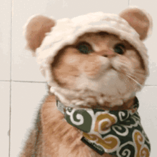  猫咪左右摇头猫咪动图表情包萌萌哒表情