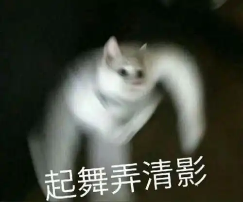 我的收藏 我的收藏