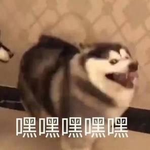  硬刚小米,华为这新旗舰,终于杀回来了