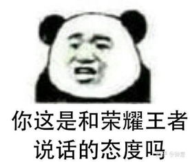 王者荣耀卸载表情包熊猫