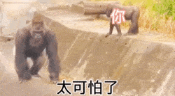  表情包千千万,只有新的最想看