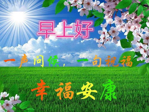  祝福早上好最漂亮早上好图片动态表情周末问候大家早上好图片祝福语