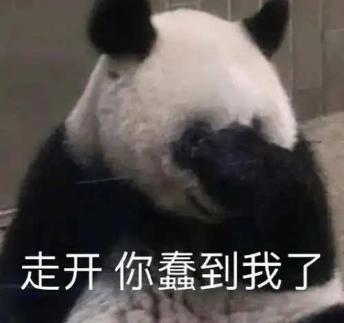 男流量肖战龚俊蔡徐坤迪丽热巴钟楚曦鞠婧祎陈哲远合集 男流量肖战龚俊蔡徐坤迪丽热巴钟楚曦鞠婧祎陈哲远合集