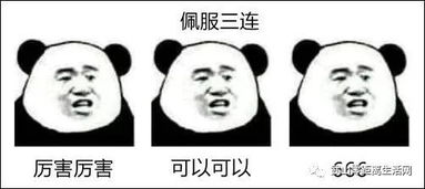  一大波最新表情包来袭,古人棺材板我帮你们住了