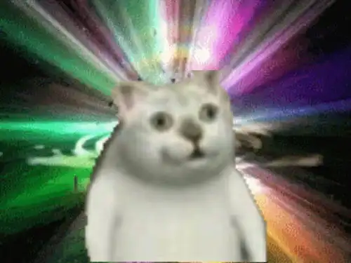 mur猫表情包小集合 mur猫表情包小集合