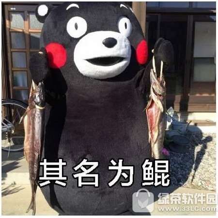  北冥有鱼,其名为鲲,鲲之大,一锅炖不下,化而为鸟是什么梗