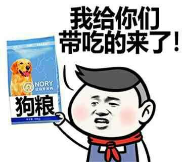 喂狗粮表情包单身