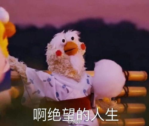  射雕评瑛姑与南帝别把你口中的绿帽与原谅,和人世间那些真挚的情与义相提并论了