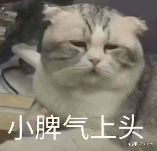 表情包激动可爱