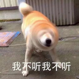  江宁人必看江苏春运天气预测出炉快来看看你回家的天气如何
